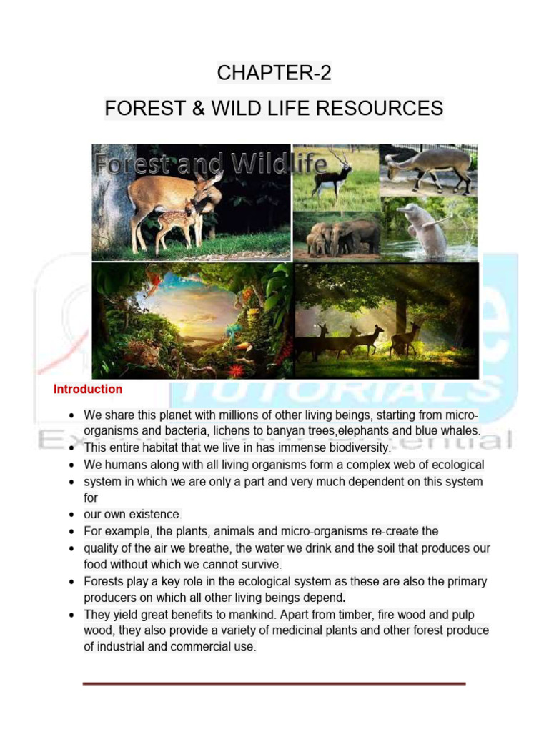 Forests and Biodiversity in India | PDF | Biodiversity | Conservation ...