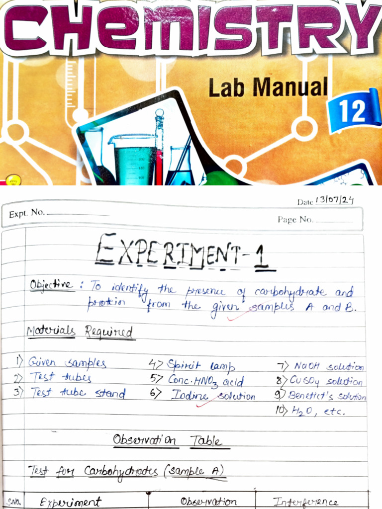 Chemistry -12 Lab Manual | PDF | Chemistry | Chemical Compounds