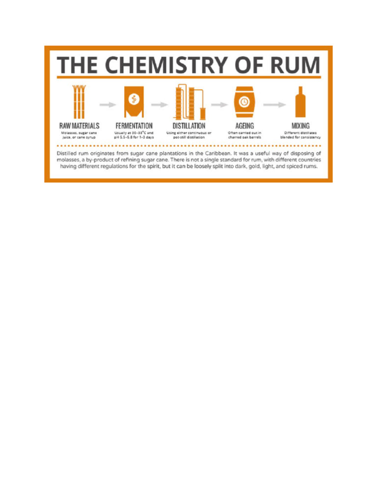 RUM | PDF