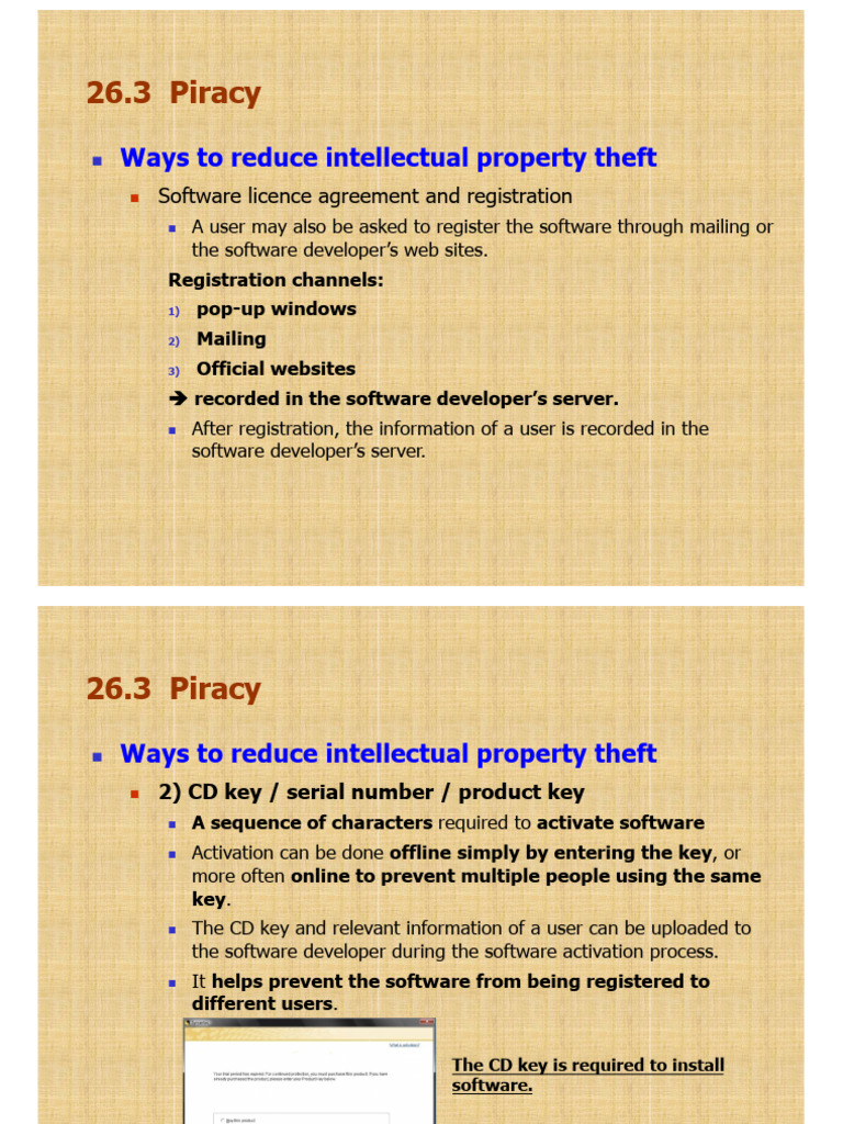 Preventing Software Piracy Strategies | PDF | Copyright Infringement ...