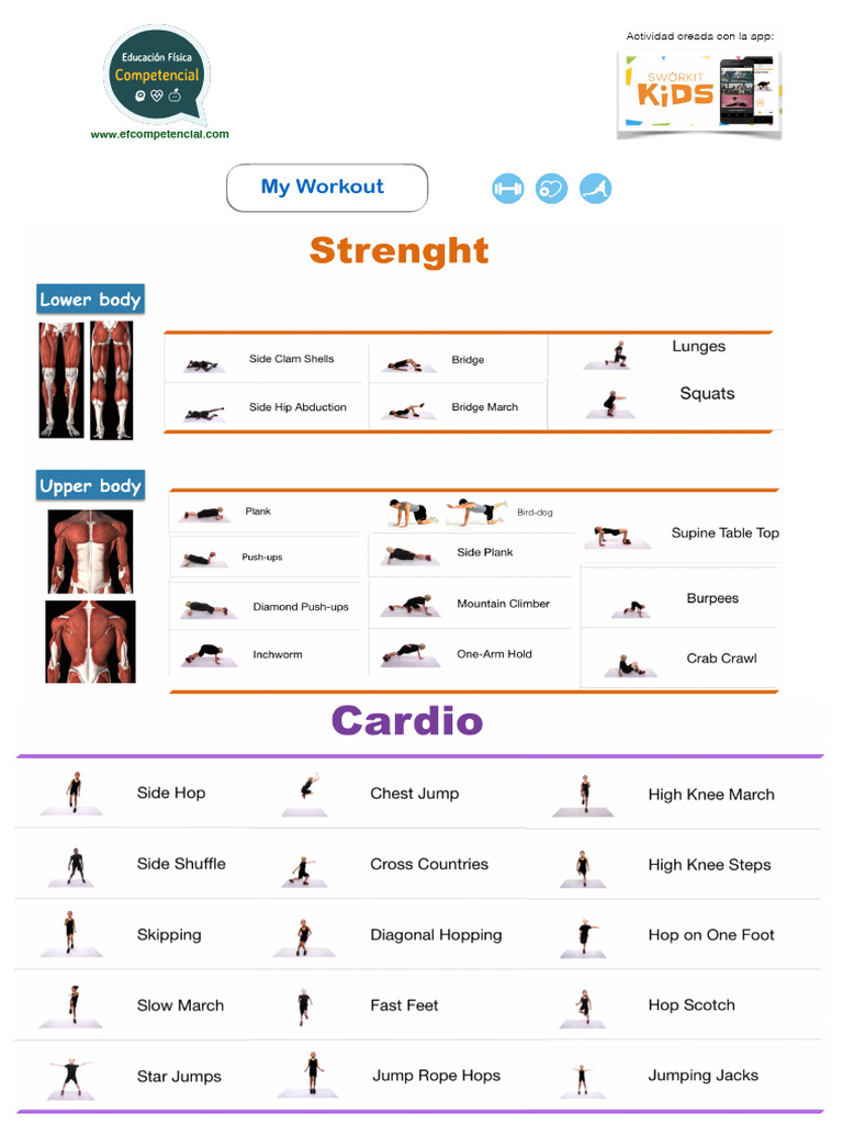 Custom Workout Plan Creation Guide | PDF