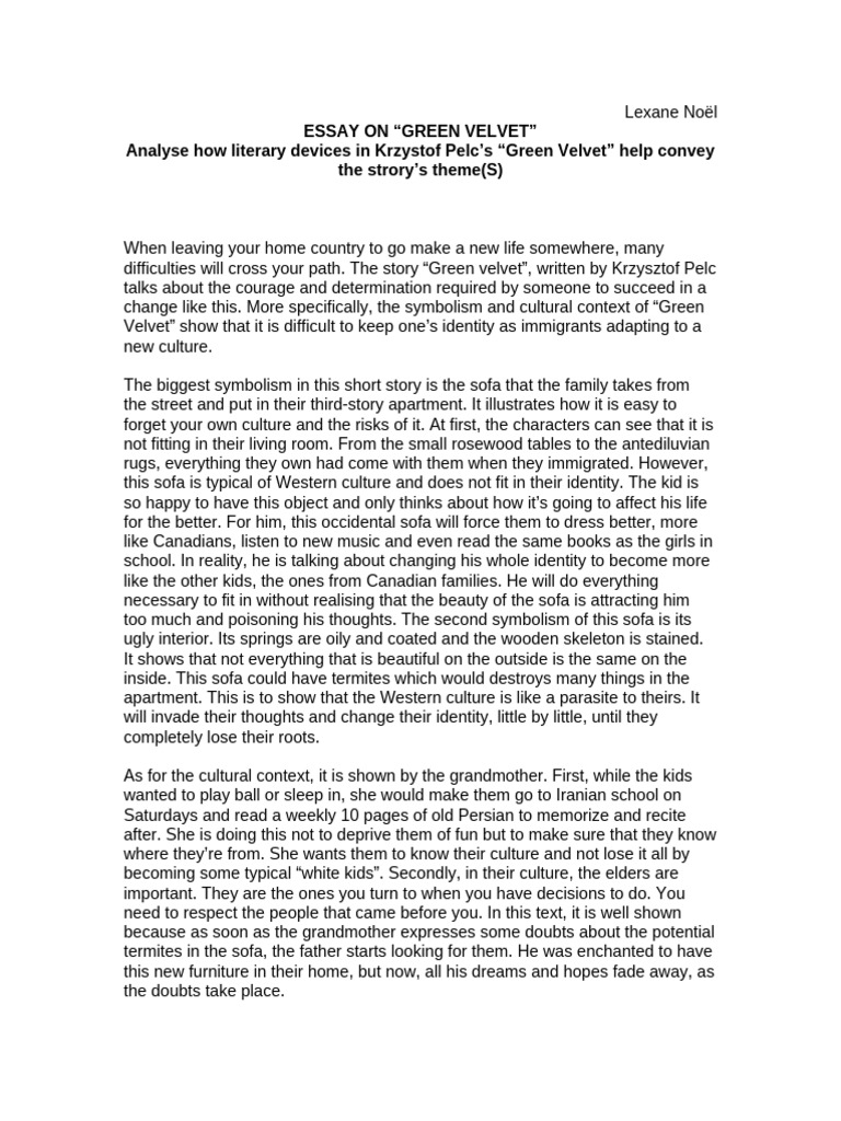 Essay on 