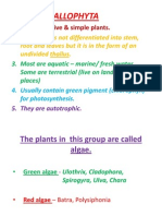 Simple Primitive Plants: Thallophyta