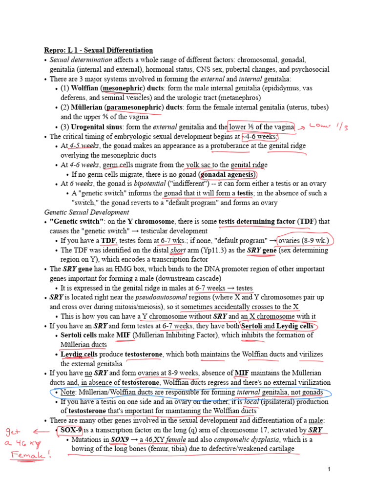 Repro Notes - Ari Gartenberg | PDF | Luteinizing Hormone | Menstrual Cycle