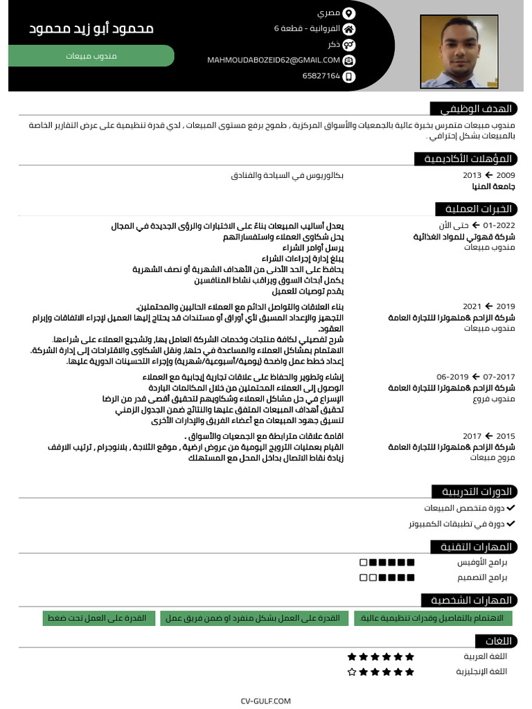 CV Mahmoud | PDF