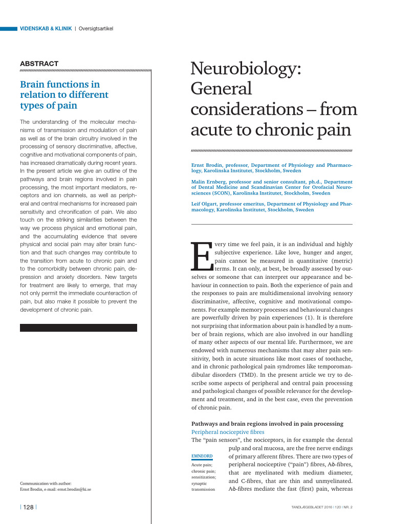 Nociceptors in Pain Processing | PDF | Pain | Neurotransmitter