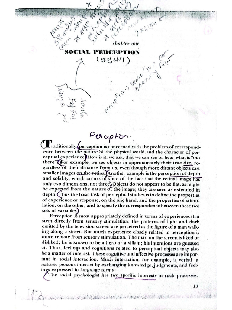 What Is Social Perception Pdf