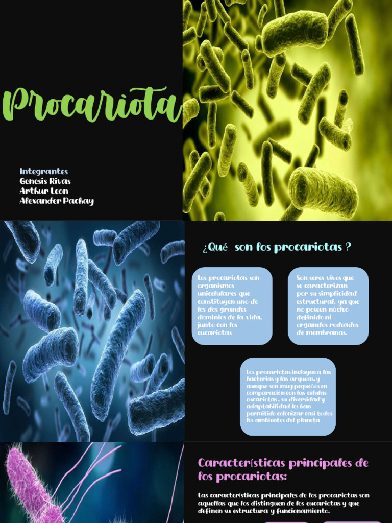 Características y funciones de procariotas | PDF | Procariota | Las ...