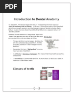 Download Intro to Dental Anatomy by dentalA5455 SN80732603 doc pdf