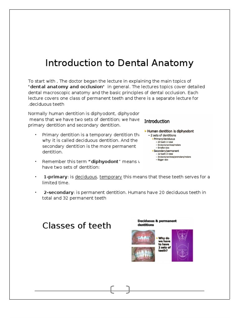Human Dental Anatomy Overview | PDF | Tooth | Facial Features