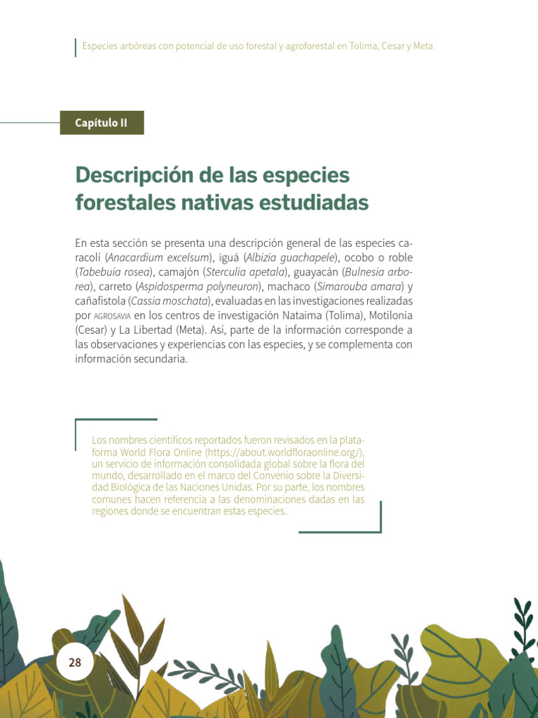 Especies Forestales Nativas Estudiadas | PDF | Arboles | Los bosques