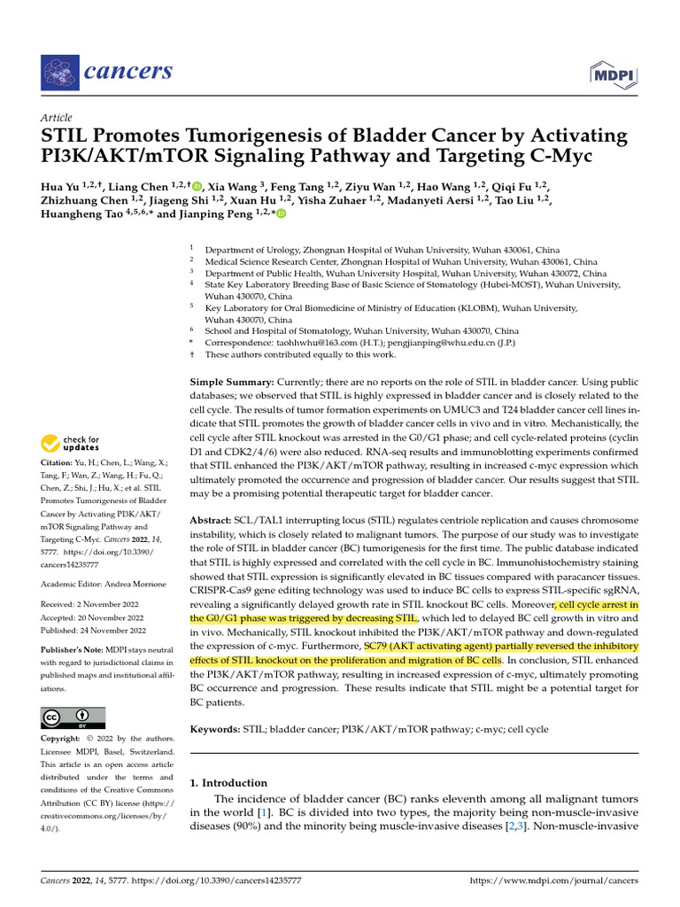 00-6 STIL Promotes Tumorigenesis of Bladder Cancer by Activating ...