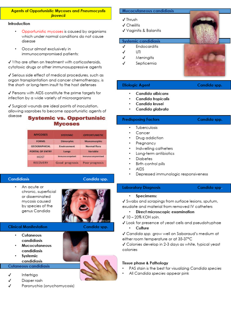 Opportunistic Mycoses: Causes & Treatments | PDF | Candidiasis ...