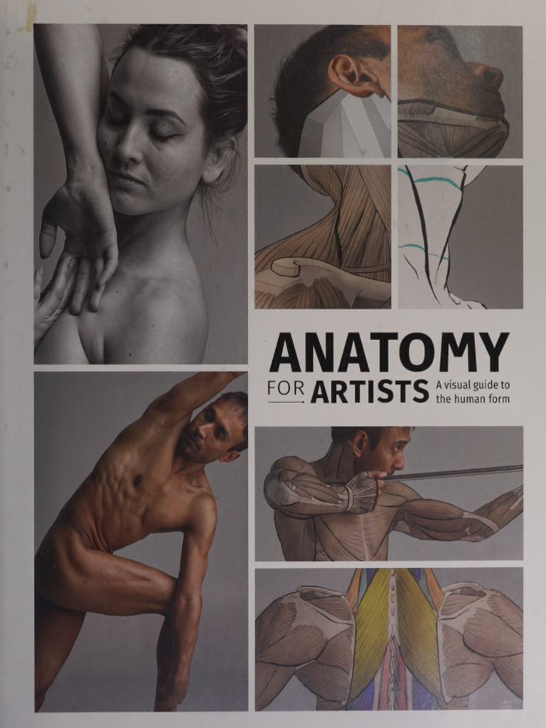 Rti S A Visual Guide To: The Human Form | PDF | Anatomical Terms Of ...