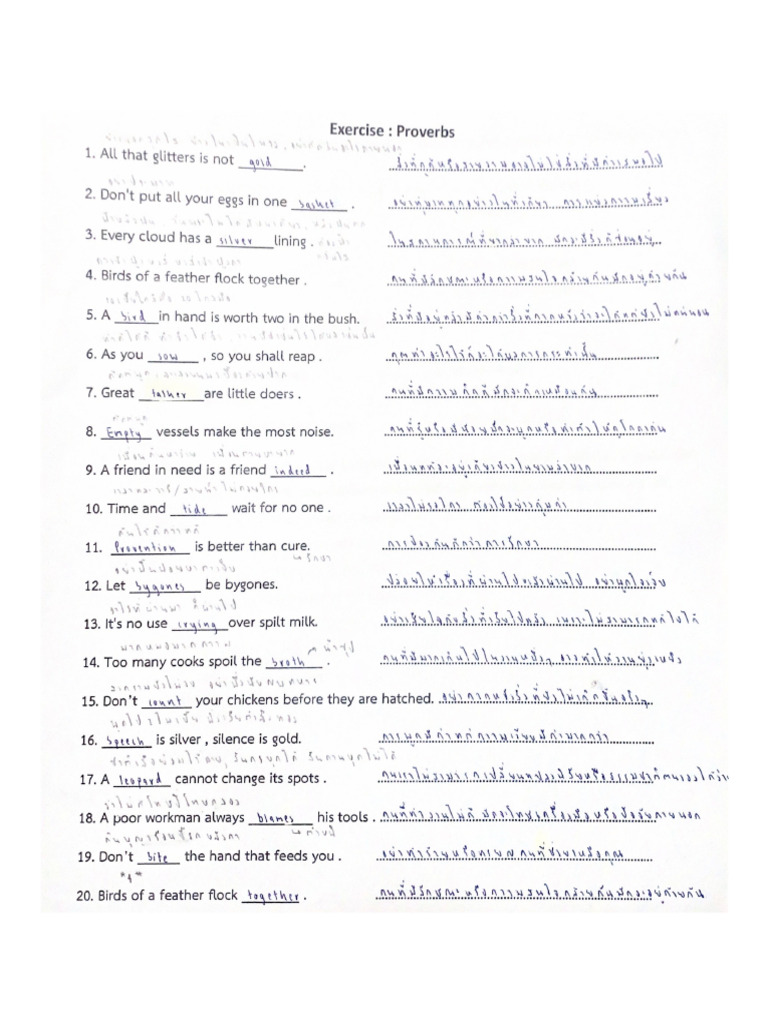 Exercise Proverbs | PDF