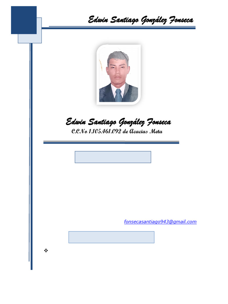 Perfil Profesional de Edwin Fonseca | PDF
