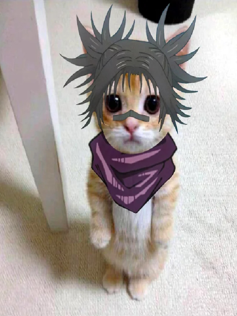 Choso Gato | PDF