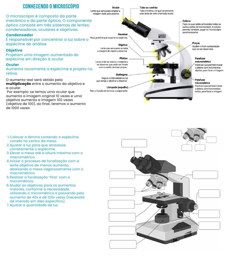 Conhecendo o Microscópio | PDF