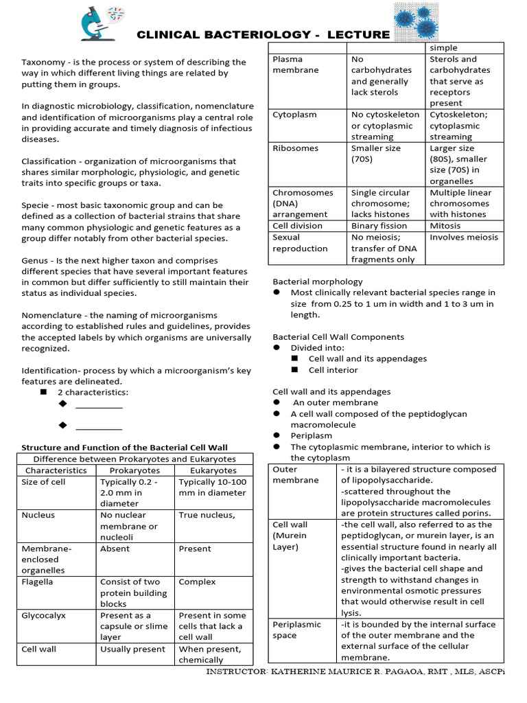 Lesson-1 | PDF | Cell (Biology) | Bacteria