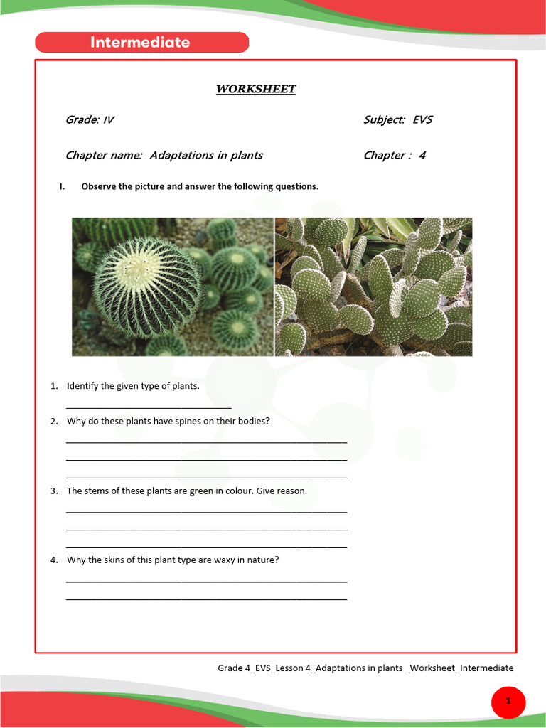 Lesson4_Adaptationsinplants_Worksheet_Intermediate | PDF | Plants | Leaf