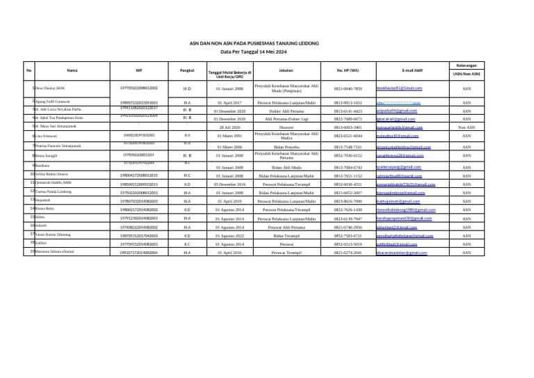 Data ASN dan Non ASN Puskesmas Tanjung Leidong | PDF