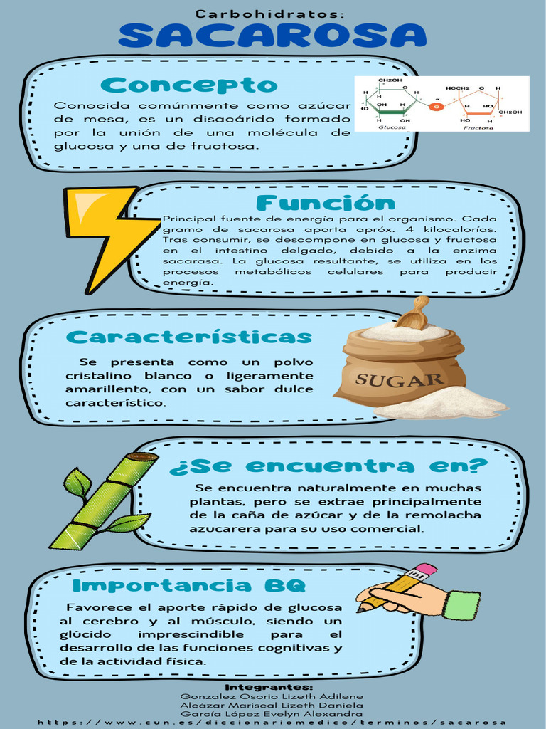 Funciones y características de la sacarosa | PDF