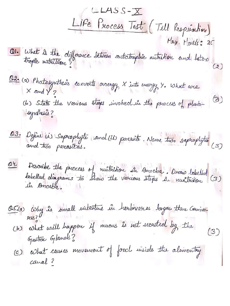 10 S Life Process Test M 1-Tobetyped Compressed PDF | PDF