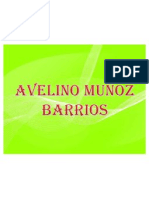 Avelino Muños Barrios Bigrafia