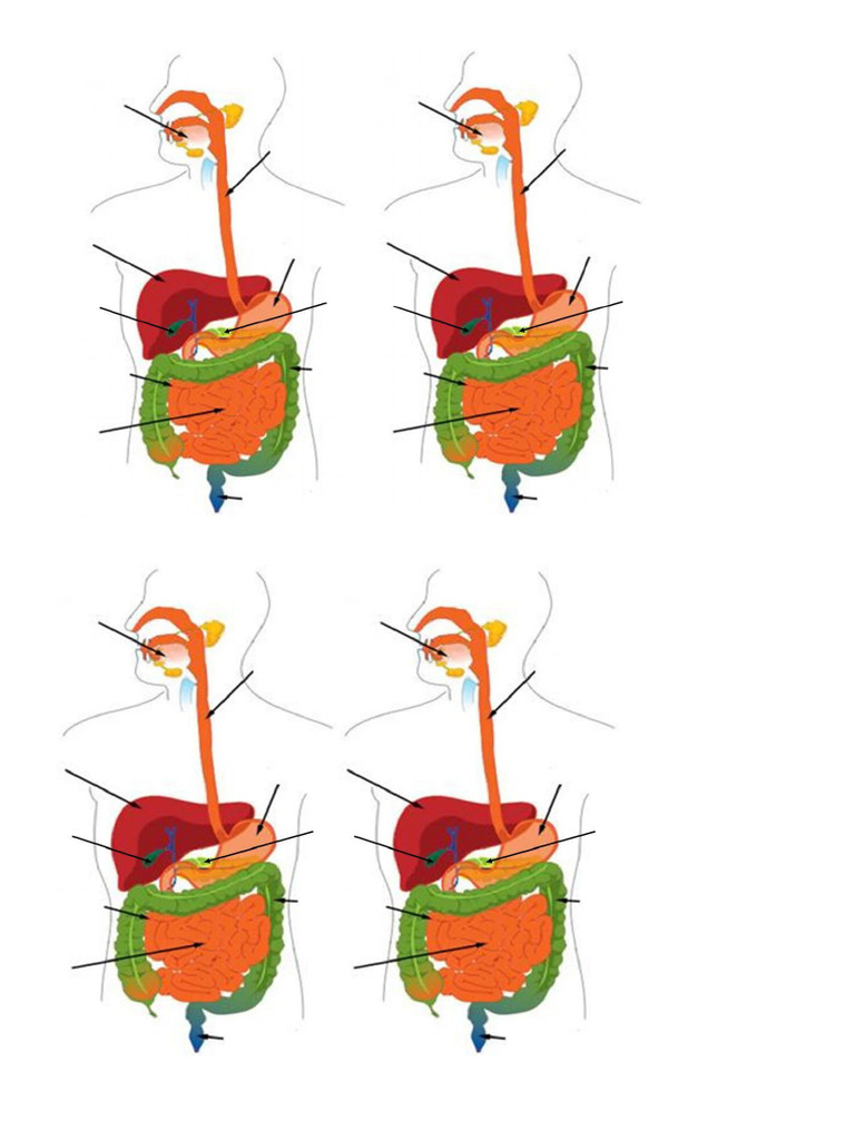 Lesson 4 Ws | PDF