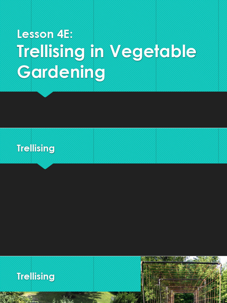 Trellising Techniques for Vegetable Gardening | PDF