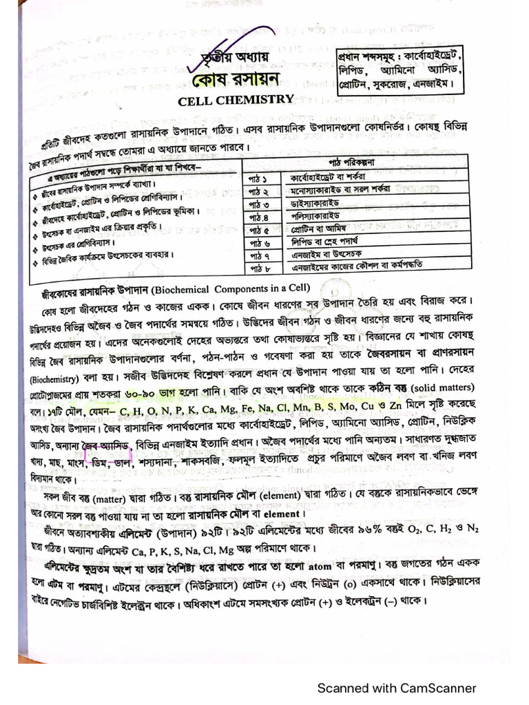 Bio Chemistry | PDF