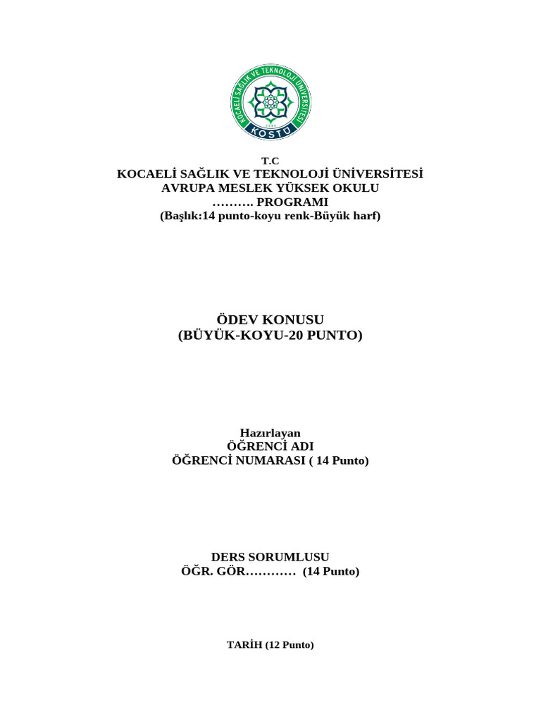 ornek-odev-kapak-dosyasi-pdf