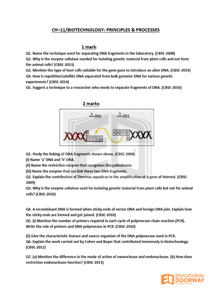 Biotechnology Techniques and Applications | PDF | Polymerase Chain ...