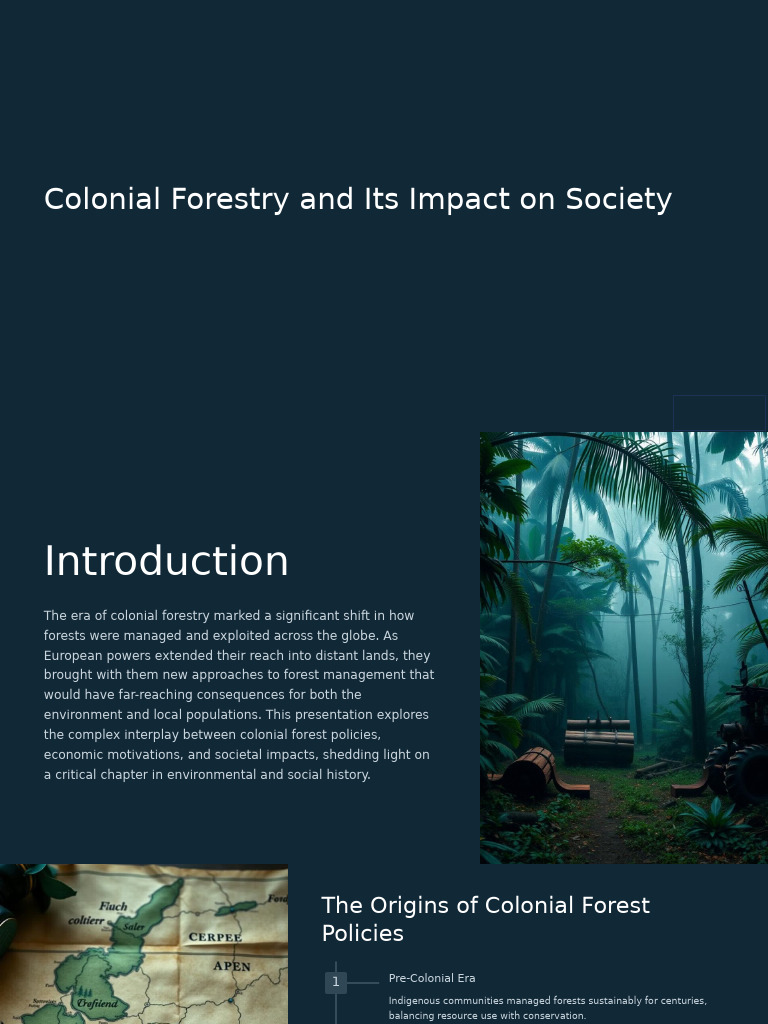 Colonial Forestry's Societal Impact | PDF | Forests | Deforestation