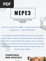 Саусақ порносын онлайн көру.