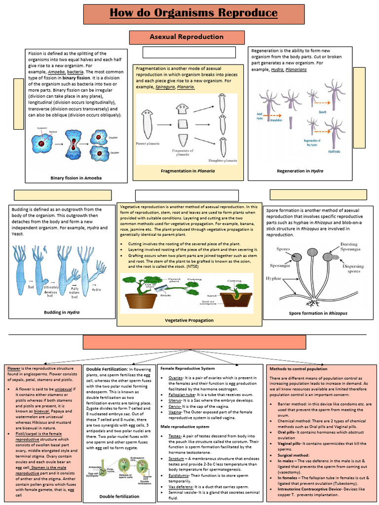 How do Organisms Reproduce _ | PDF | Fertilisation | Reproduction