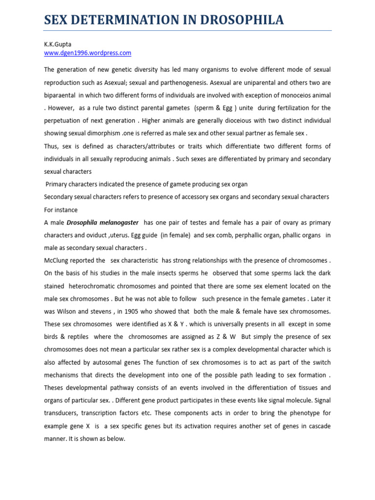 Sex Determination Mechanisms in Drosophila | PDF | Alternative Splicing ...