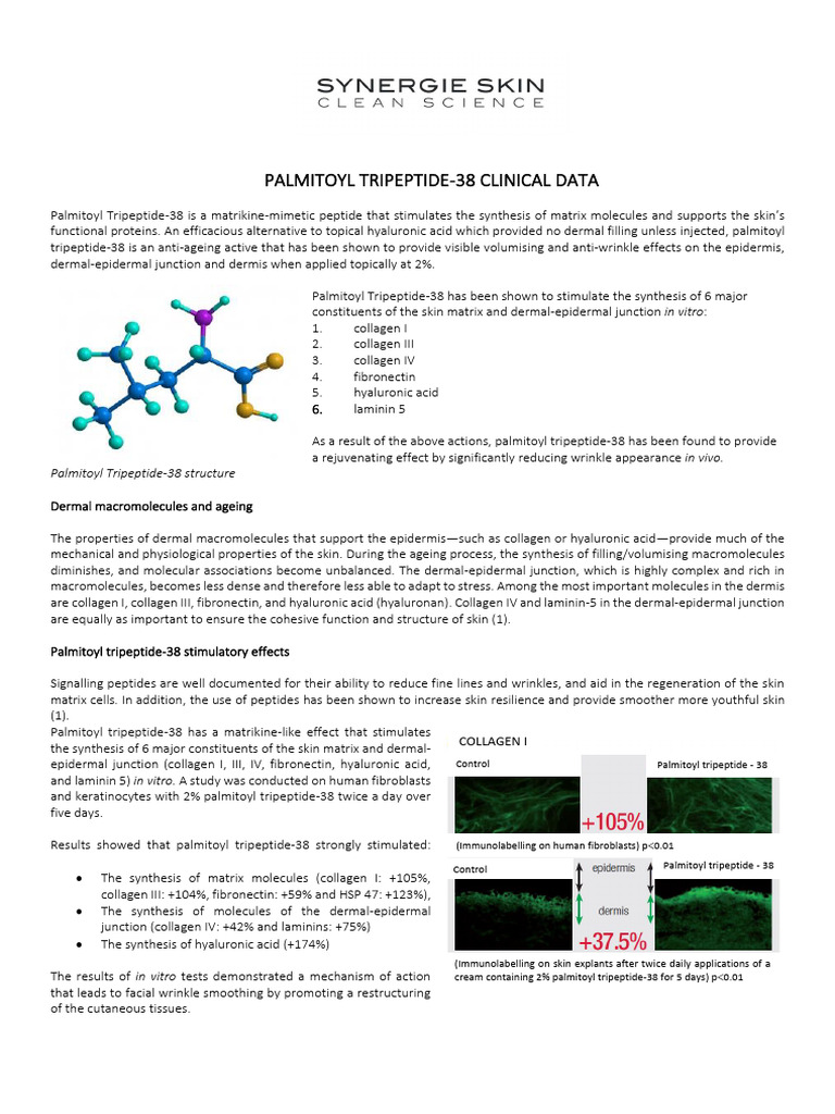 Palmitoyl Tripeptide 38 Clinical Data | PDF | Extracellular Matrix | Skin