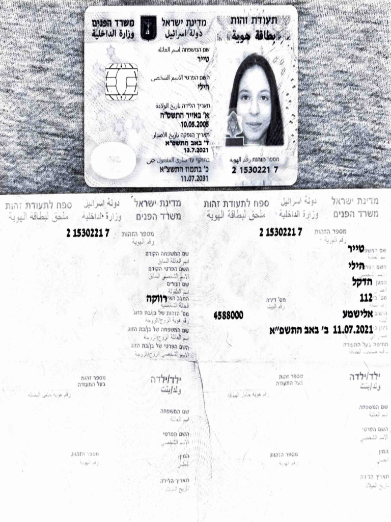 ת.ז הילי טייר⁩ | PDF
