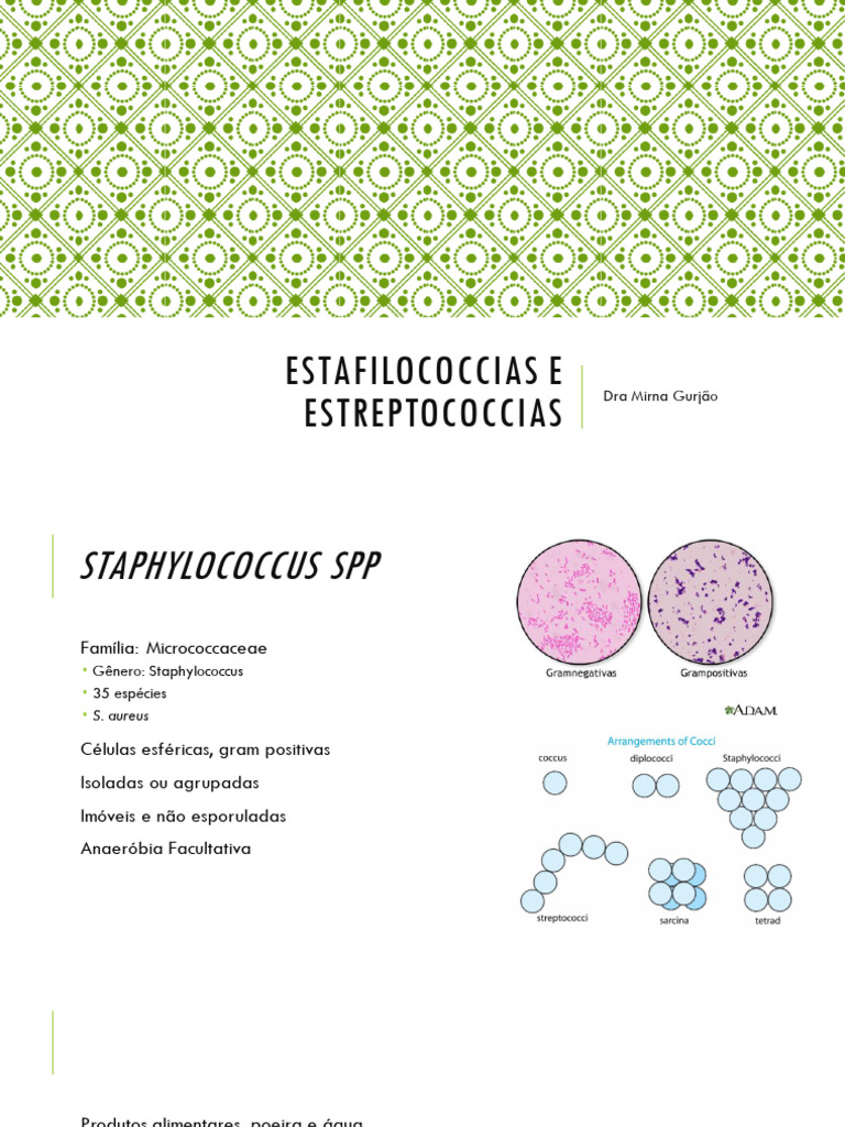 Aula 07 - Estafilococcias e Estreptococcias | PDF | Staphylococcus ...