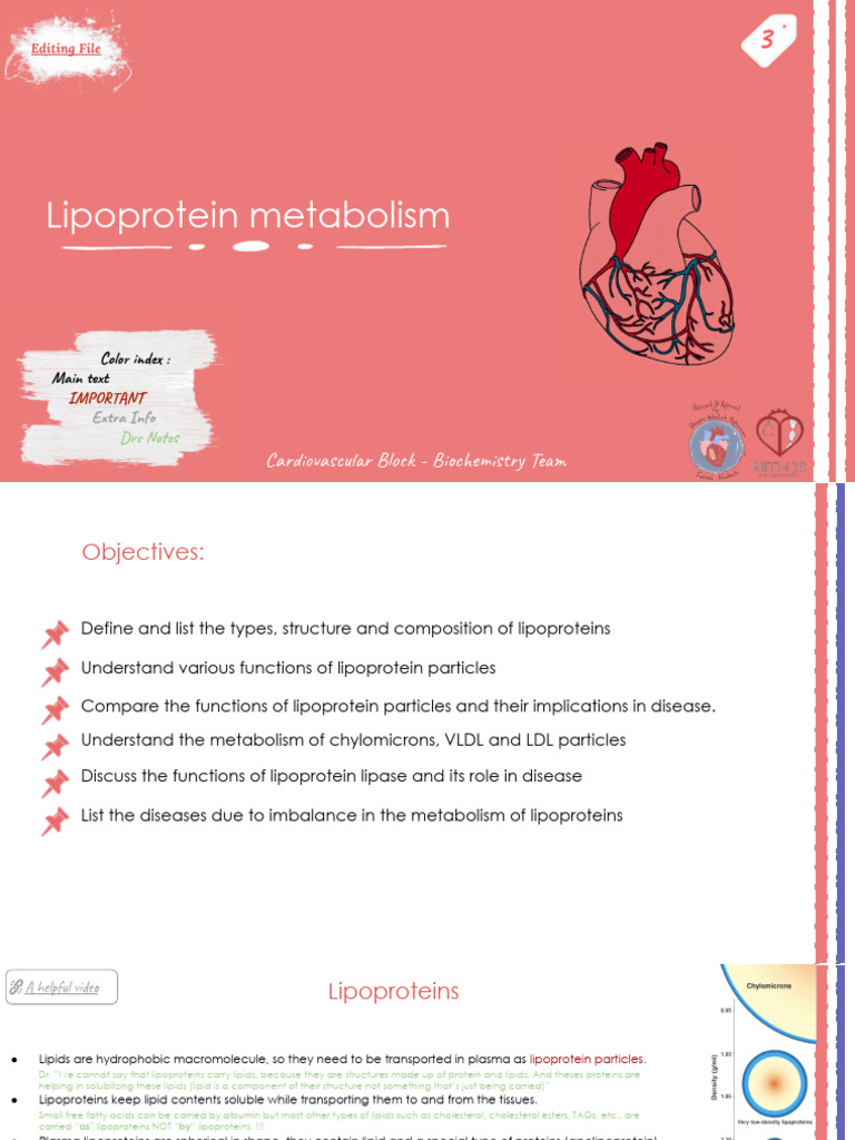 3 - Lipoprotein Metabolism | PDF | Lipoprotein | High Density Lipoprotein