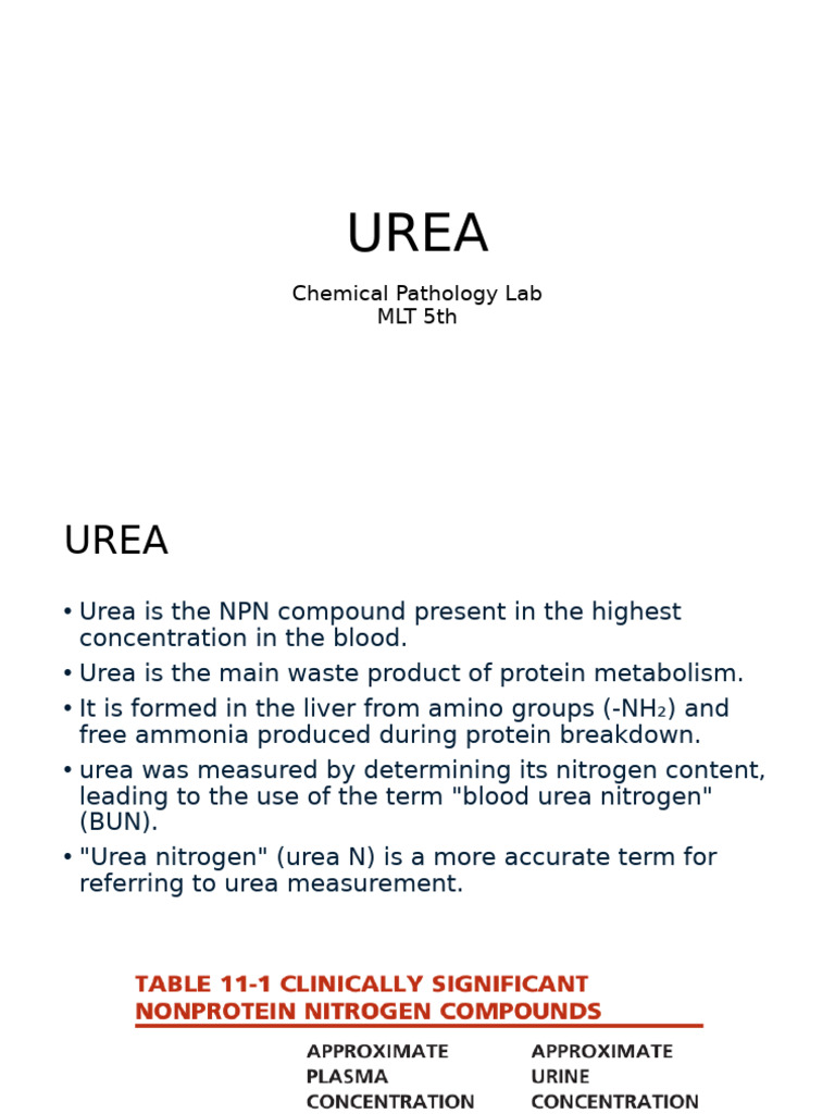 Urea, Uric Acid, and Creatinine Overview | PDF | Creatinine | Kidney