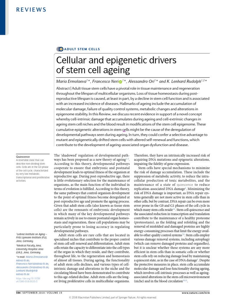 Cellular and Epigenetic Drivers of Stem Cell Aging Review Sunumlar Için ...