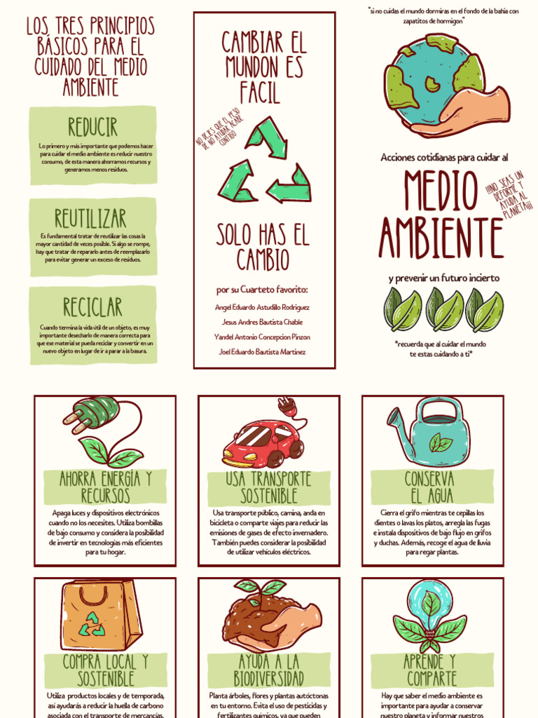 Folleto Tríptico Cuidado Del Medio Ambiente Ilustrado Verde | PDF ...