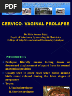Buhner Suture Technique for Bovine Vulva | PDF | Surgical Suture | Vagina