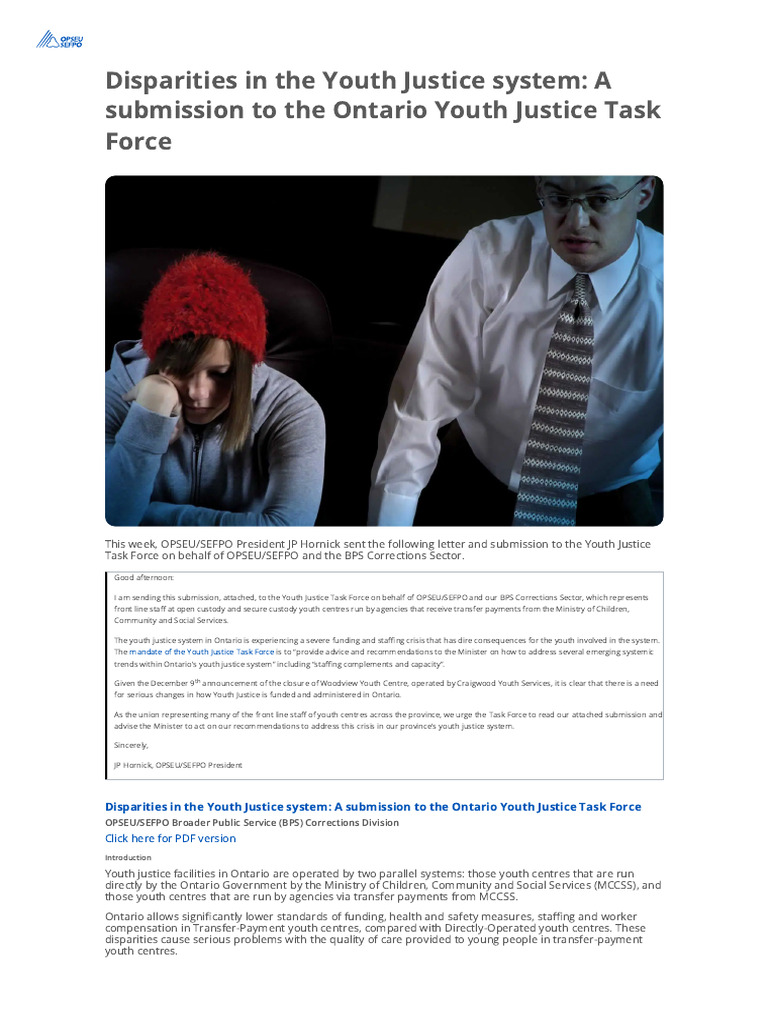 Youth Justice System Disparities in Ontario | PDF | Employment | Pension