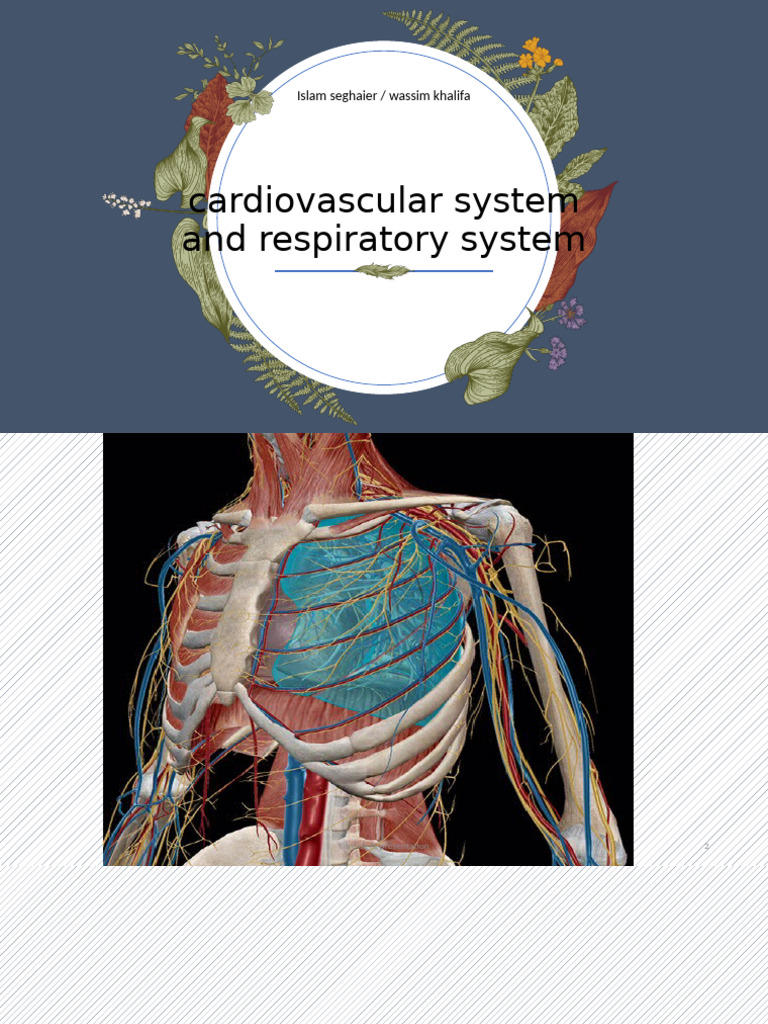 Cardiovascular System and Respiratory System | PDF | Respiratory System ...