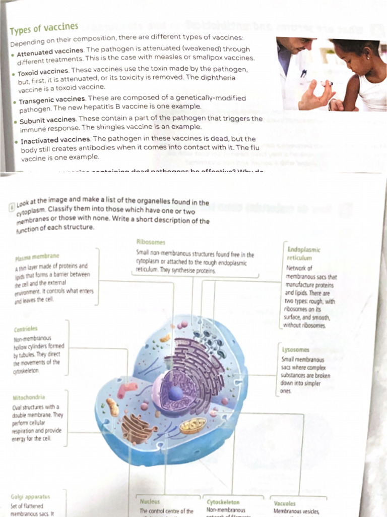 Bio | PDF