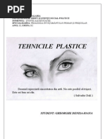 Tehnici Plastice Final