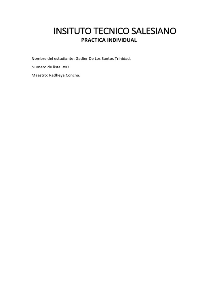 Practica Individual #07 | PDF